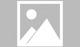 趣麻豆,揭秘网红经济新趋势