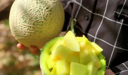 娱乐圈吃瓜名称,那些年我们追过的明星八卦大揭秘